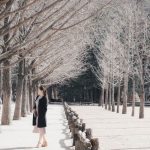 Tour Hàn Quốc | Seoul - Trượt Tuyết Elysian 5 Ngày 4 Đêm - Mùa Đông