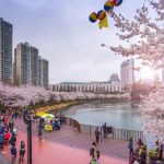 Tour Hàn Quốc | Seoul - Nami - Everland 5N4Đ - Xuân Hè